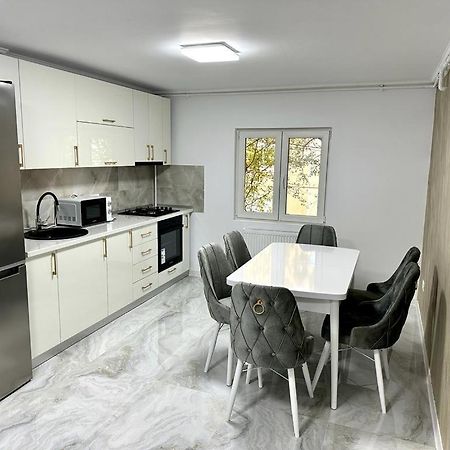 Elite Apartment Buzău Esterno foto